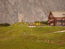 2013-09-08_6Falkenh-Steinfalk (001).JPG